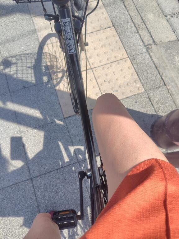 行きは自転車🚲️