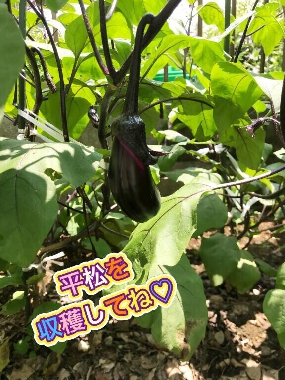 本日出勤です♪