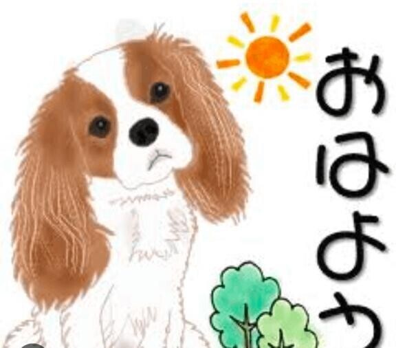 一週間の始まりですネ🌞