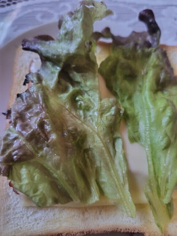 食欲ないけど😨