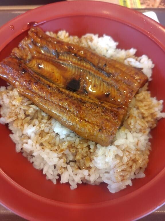 本日のランチ🍚