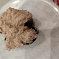 昨日のはま寿司🍣