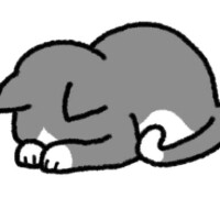 お詫び🥲‎