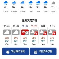 雷と雨⛈️