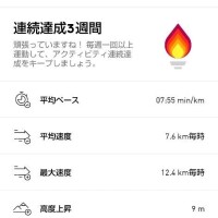 本日のランニング🏃