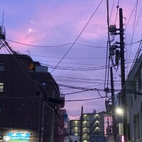 板東