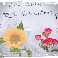 またまた｡｡｡｡