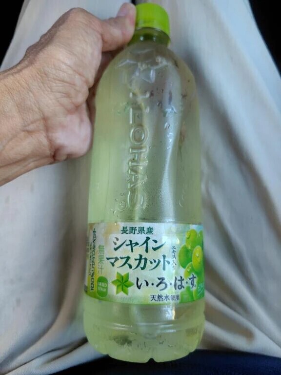 いただいたいろはす🚰