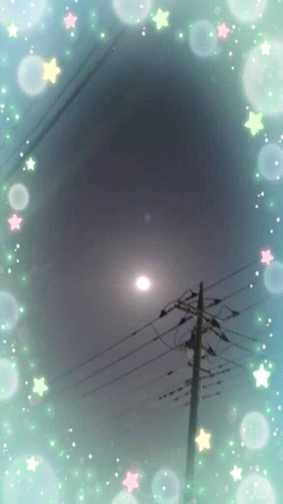 見れた〜♪
