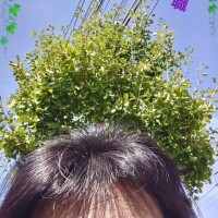 これからっ！