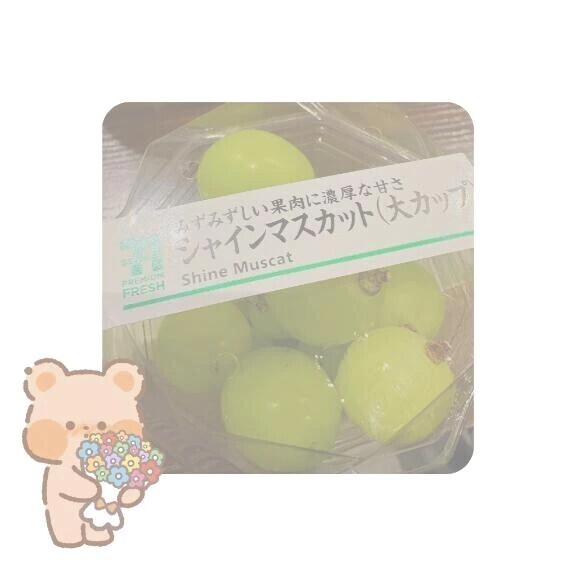 お礼💌&予定🗓️