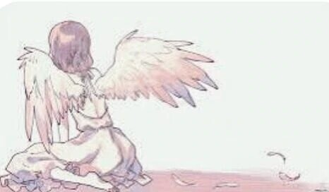 ＊今日は。。。＊