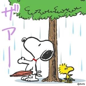 おはようございます☔