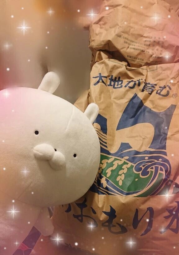 新米の季節ですねぇ