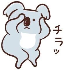 ✨次は月曜日✨