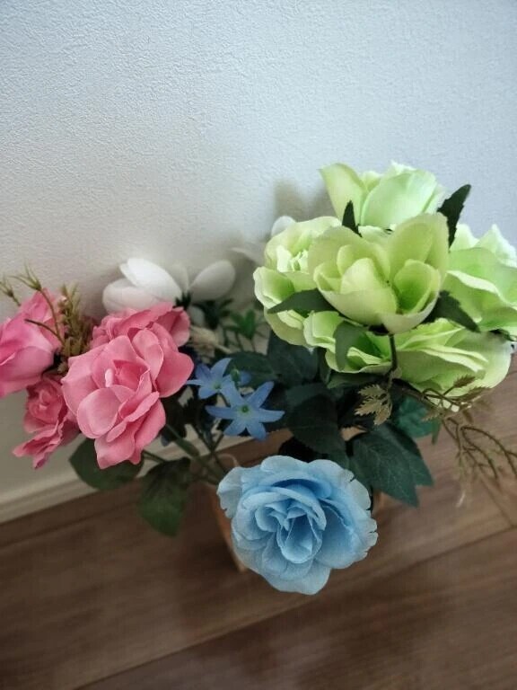 おはようございます🙇🏻‍♀️⸒⸒