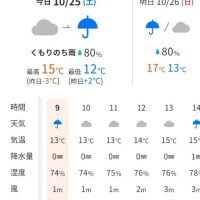 本日の天気☂️
