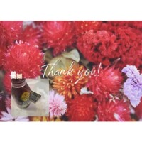 お礼💌&次回予定🗓️