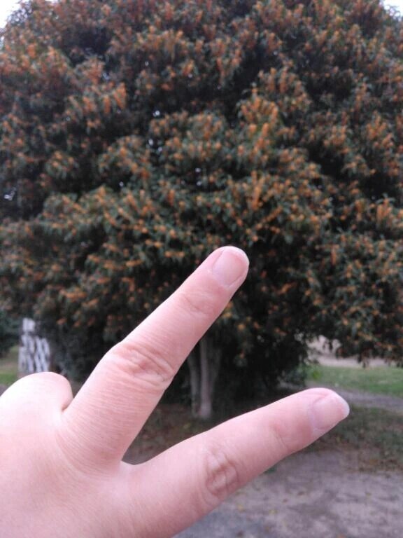 たまには感傷的になってもいいよね？