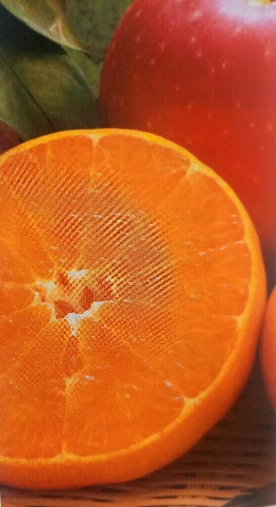 連休最終日の連続出勤最終日