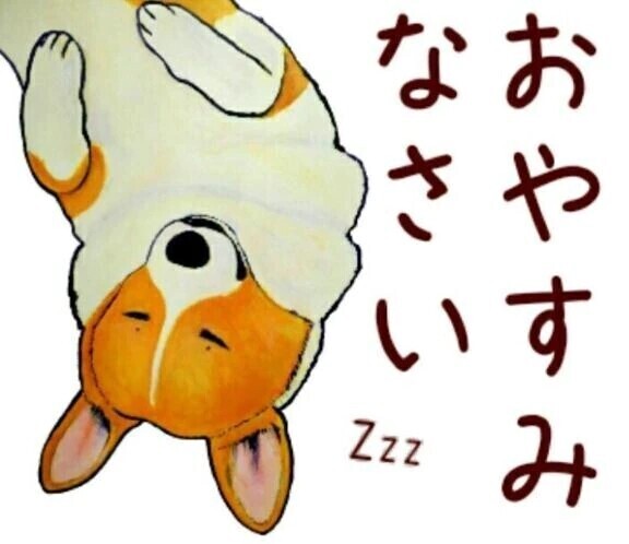 また明日会えるのを楽しみにしてますね💕︎