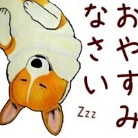 明日もよろしくお願いします🎵