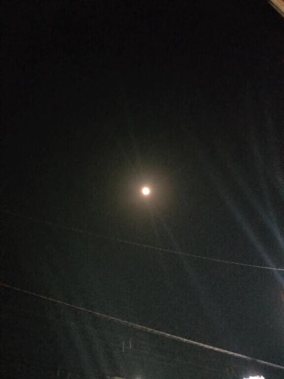 こんばんは＼(^▽^)／！