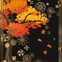 つづきはまた明日