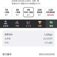 今日はラッキー🌟