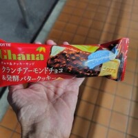 本業終わりました✌