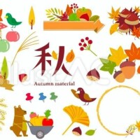 🍂お疲れ様です🍂