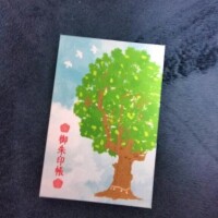 おはようございます(*^^*)