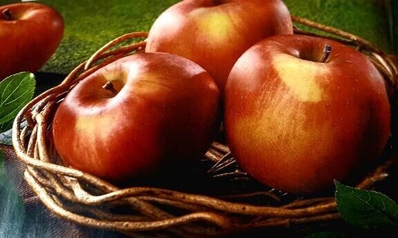 サイゴを逃すと明後日！