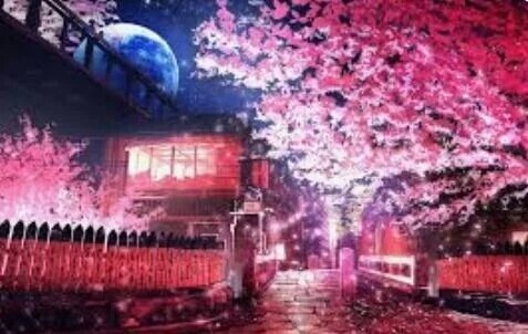 ＊おはようございます☀️＊