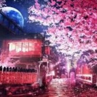 ＊おはようございます☀️＊