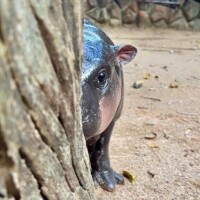 おやすみします🥺