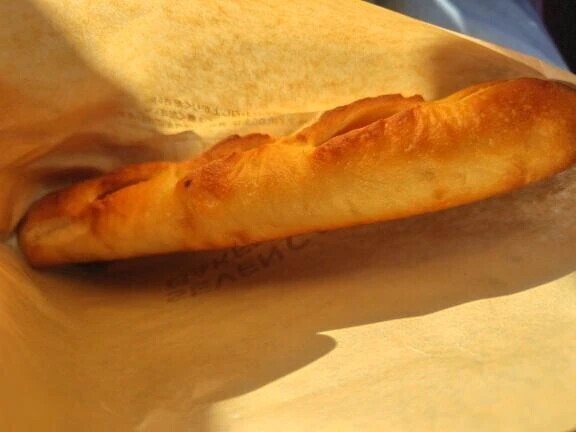 今日は忙しい😔