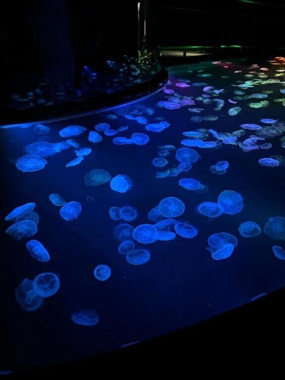 お待ちしております🫶