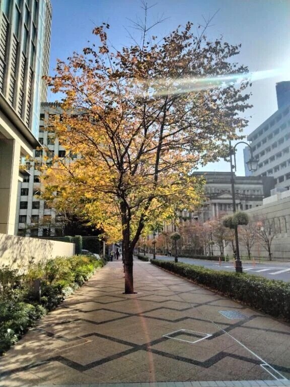 こんばんは＼(^▽^)／！