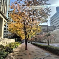 こんばんは＼(^▽^)／！