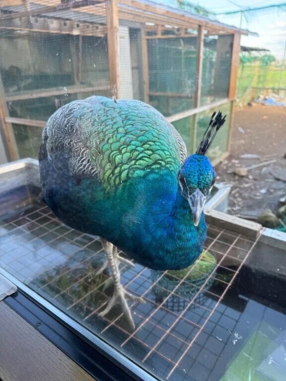 ありがとう❤️