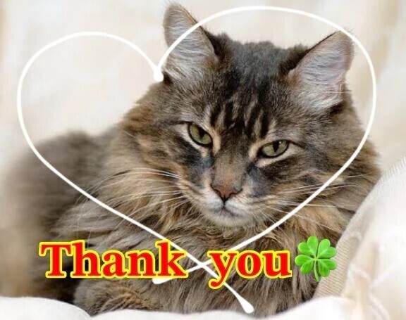 ありがとうございます🙇‍♀️