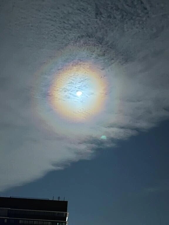 出勤しました(*^^*)