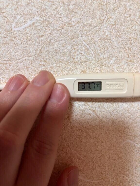 今日はお休みになりました😭