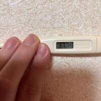 今日はお休みになりました😭