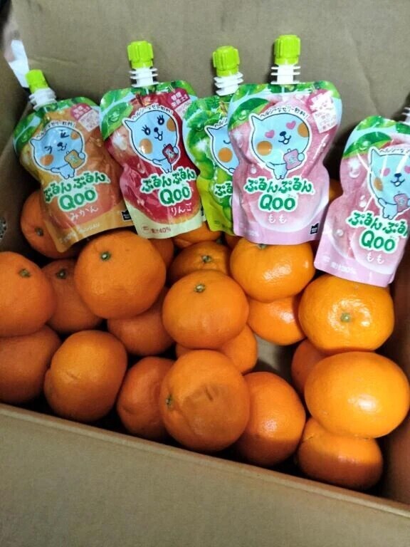 おはようございます！