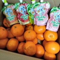 おはようございます！