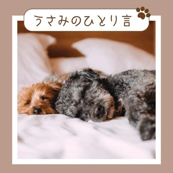 ＊11月の終わりに＊