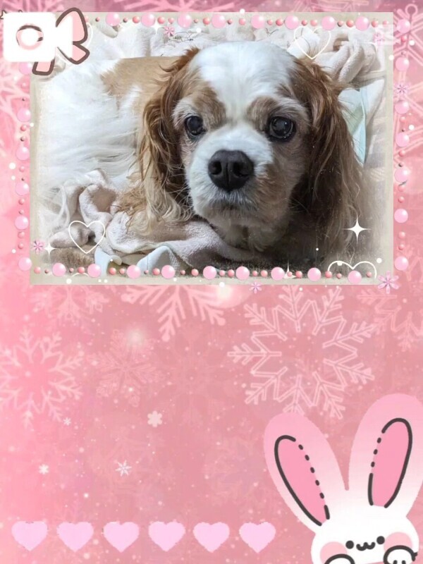 お元気ですか？