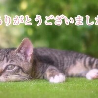 ありがとうございました🎁